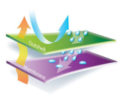 Delta Plus Mılton2 Siyah Su Geçirmez Parka
