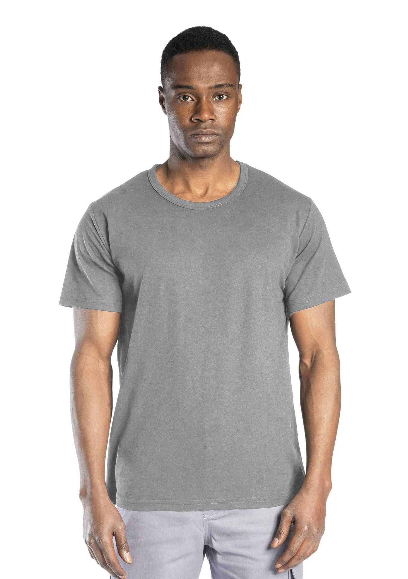 SafeSawa Regular Basic Bisiklet Yaka T-Shirt Gri